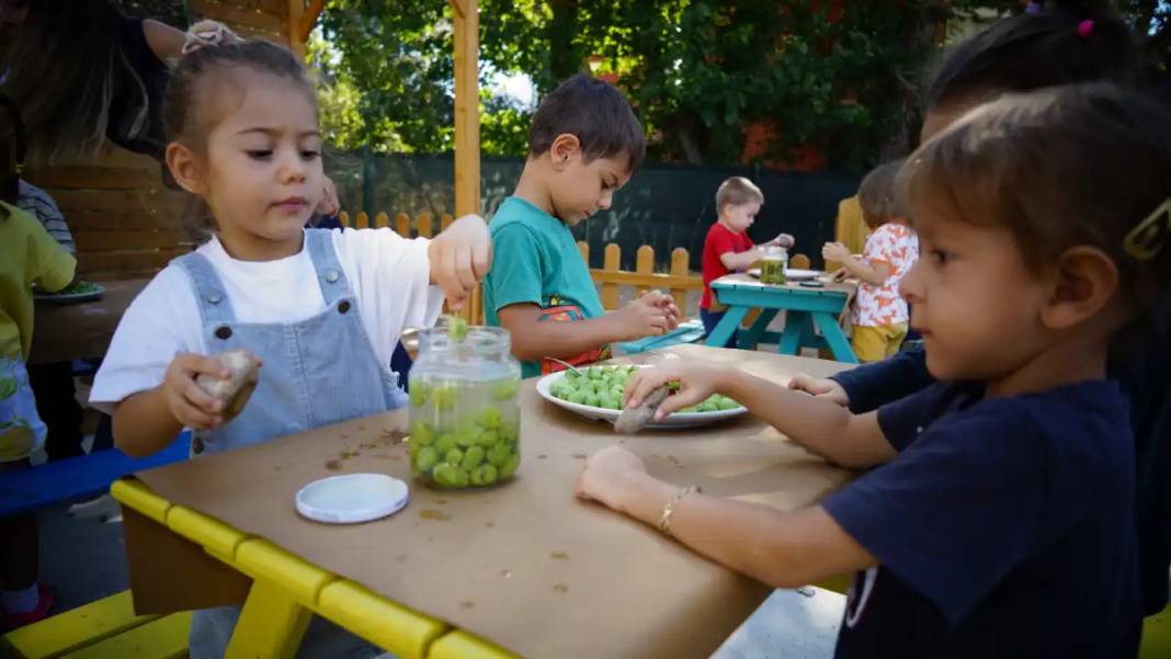 Konyaaltı'nda Minikler Zeytinleri Elleriyle İşledi 2